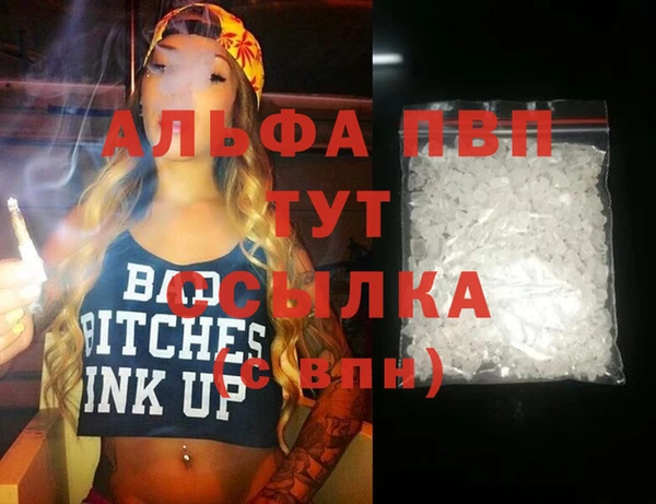 СК Бородино