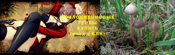 СК Бородино